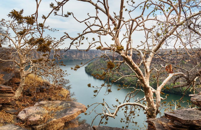 Safari por el valle del Chambal - Foto 6