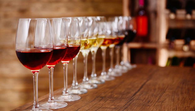 Trieste Wine Tasting - Photo 3