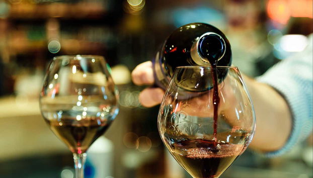 Trieste Wine Tasting - Photo 4