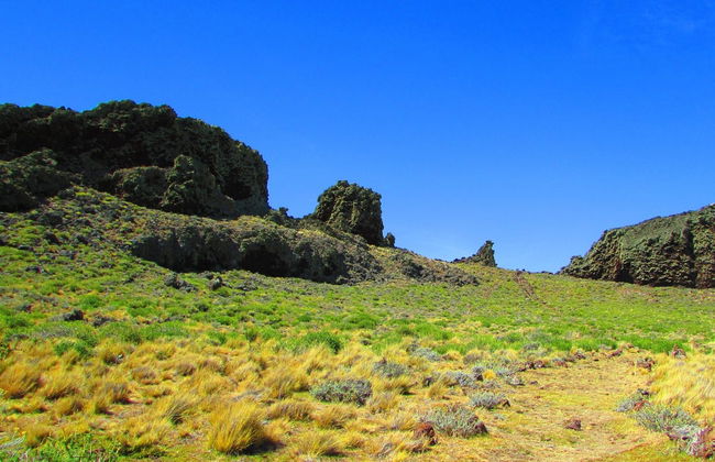 Excursión al Parque Nacional Pali Aike - Foto 4