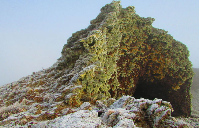 Excursión al Parque Nacional Pali Aike - Foto 3