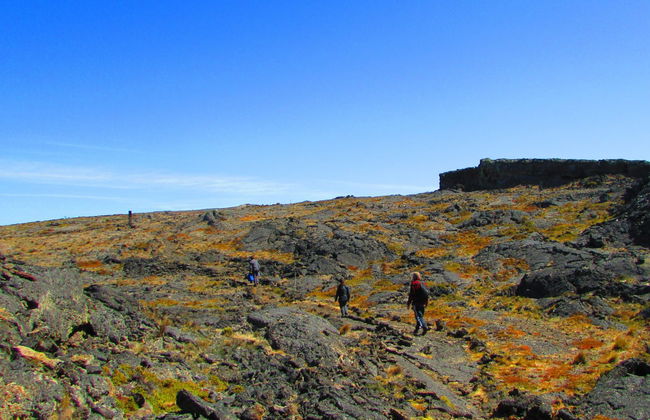 Excursión al Parque Nacional Pali Aike - Foto 6