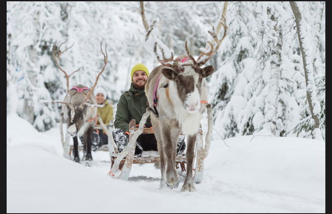 Aventura en moto de nieve + Paseo en trineo de renos y huskies - Foto 1