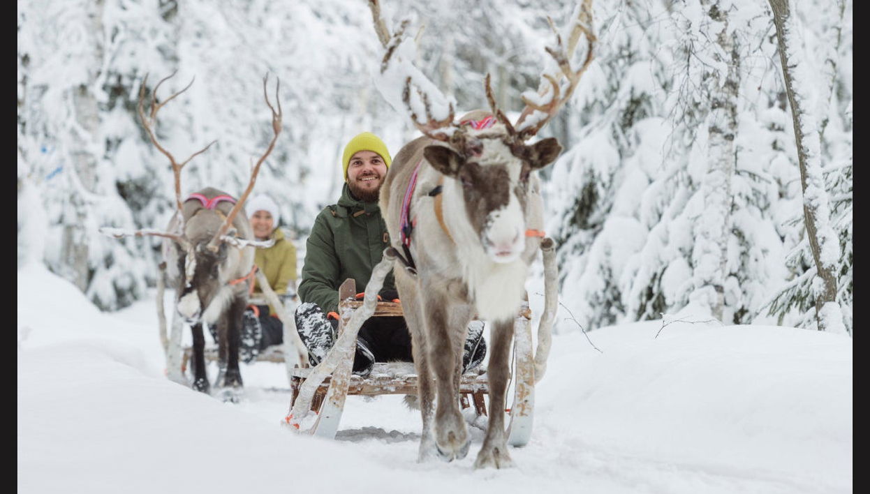 Snowmobile Ride + Reindeer & Husky Sleigh Ride - Photo 1