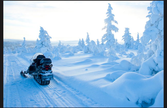 Aventura en moto de nieve + Paseo en trineo de renos y huskies - Foto 2