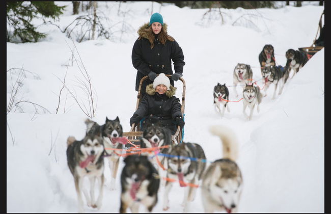 Aventura en moto de nieve + Paseo en trineo de renos y huskies - Foto 3