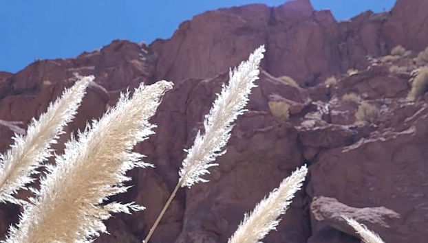 Puritama River Gorge Hiking Tour - Foto 3