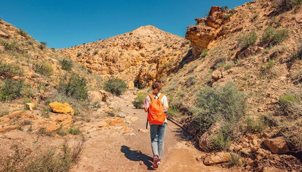 Puritama River Gorge Hiking Tour - Foto 4