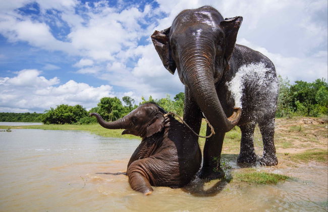 Chitwan National Park 2 Day Trip - Photo 3
