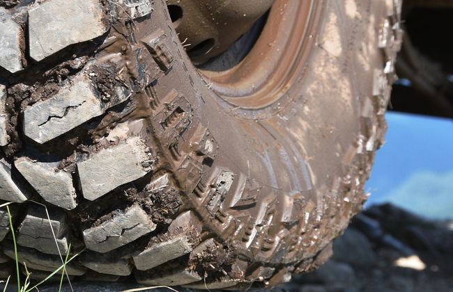 Tour in 4x4 della campagna del Pisuerga - Foto 6