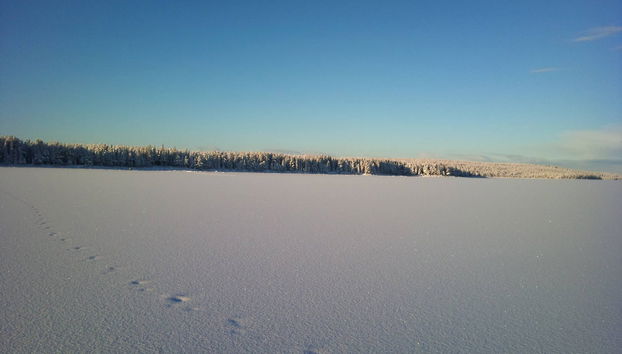 Aurora Colosseum Trip - Photo 2