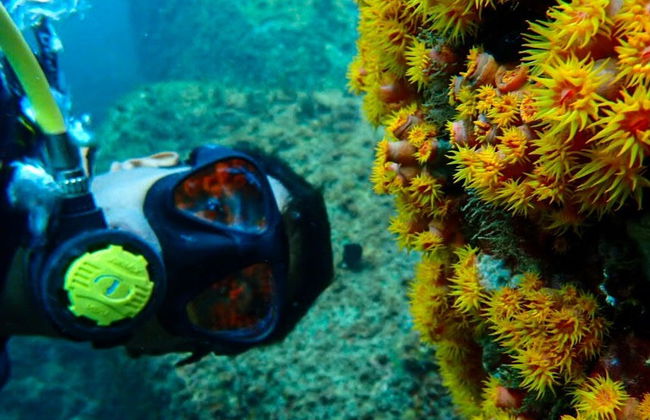 Curso de buceo NAUI Open Water en Ilhabela - Foto 6