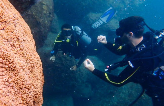 Curso de buceo NAUI Open Water en Ilhabela - Foto 2