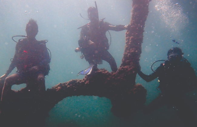 Buceo en los naufragios de Ilhabela - Foto 4