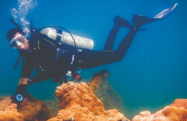 Buceo en los naufragios de Ilhabela - Foto 8