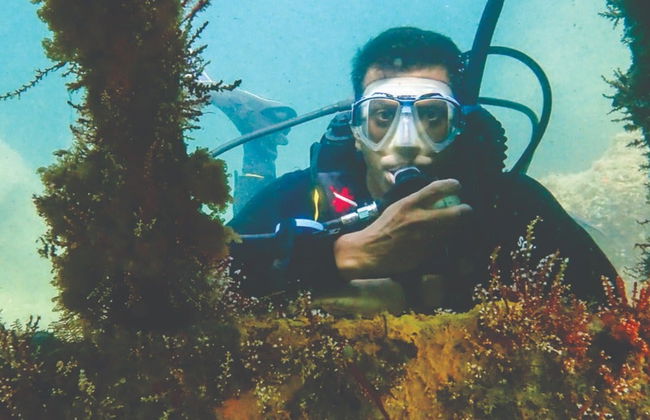 Buceo en los naufragios de Ilhabela - Foto 9