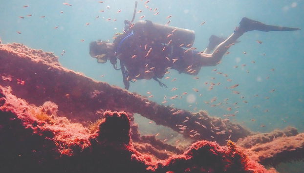 Buceo en los naufragios de Ilhabela - Foto 3