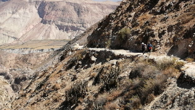 Trilha por Willacaurane e Petacane Apacheta - Foto 2