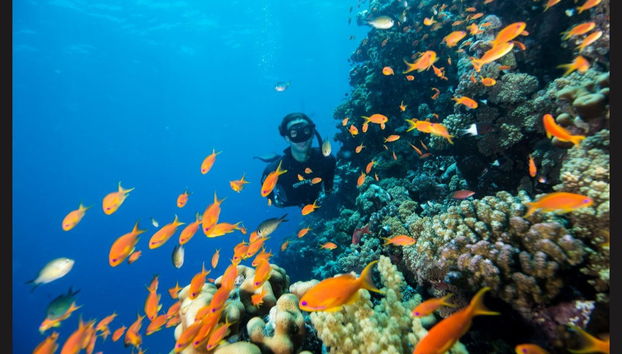 Mergulho na Catânia - Foto 2