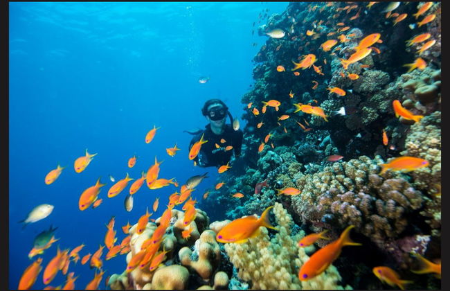 Mergulho na Catânia - Foto 2