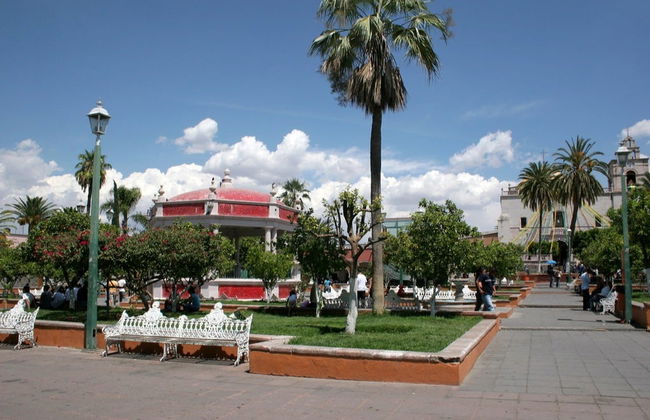 Calvillo Day Trip - Photo 3