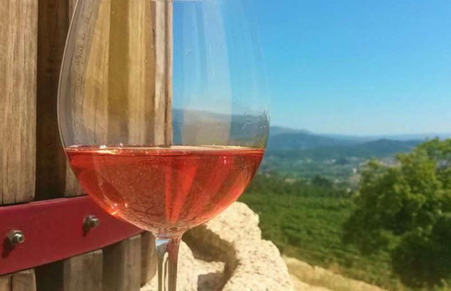 Cata de vinos en la Quinta de Santa Cristina - Foto 3