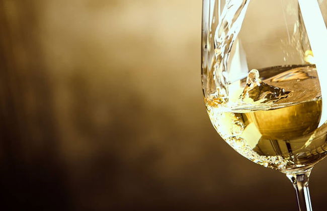 Cata de vinos en la Quinta de Santa Cristina - Foto 8
