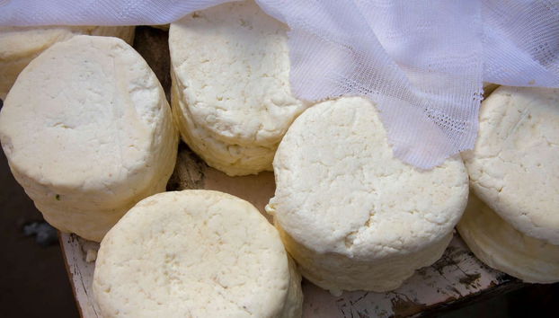 Cheese & Yoghurt Workshop in Puerto Inca - Foto 5