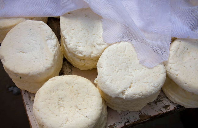 Cheese & Yoghurt Workshop in Puerto Inca - Foto 5