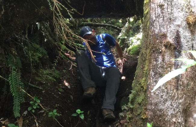 Excursión a la Reserva Cerro Morrogacho - Foto 7