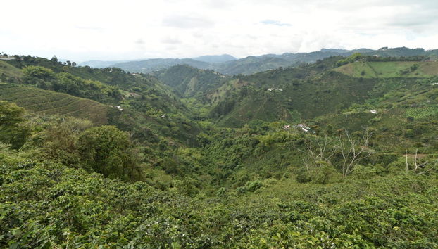 Volo in parapendio sul Quindío - Foto 4