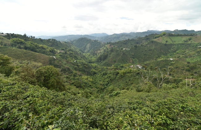 Voo de parapente por Quindío - Foto 4