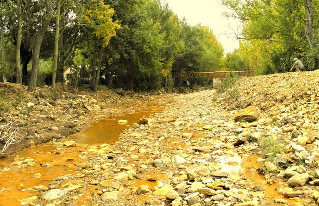 Excursión a La Carolina - Foto 6