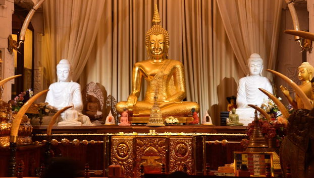 Sri Lanka 8-Day Tour - Foto 4