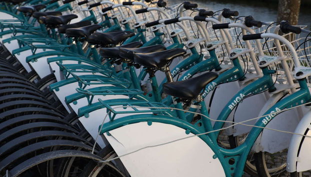 Aveiro Bike Tour - Foto 3