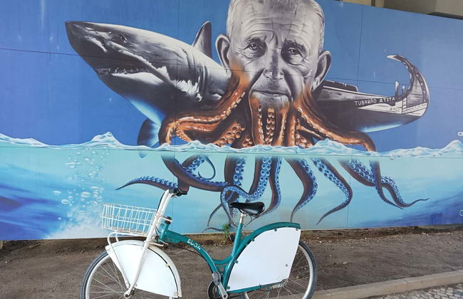 Tour en bicicleta por Aveiro - Foto 10