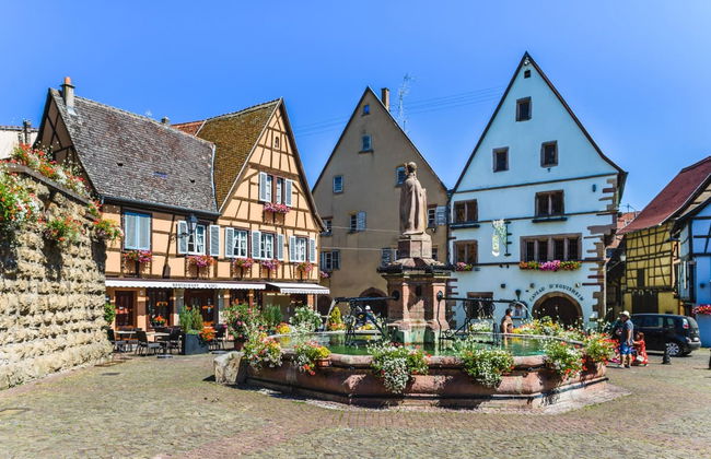 Tour por Eguisheim e Turckheim + Degustação de vinhos - Foto 4