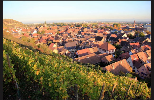 Tour por Eguisheim e Turckheim + Degustação de vinhos - Foto 6