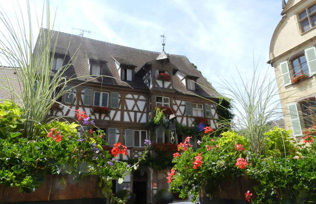 Tour por Eguisheim e Turckheim + Degustação de vinhos - Foto 8
