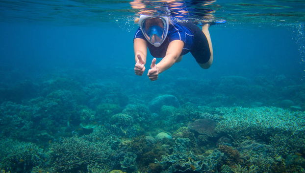 La Ametlla de Mar Snorkelling - Foto 3