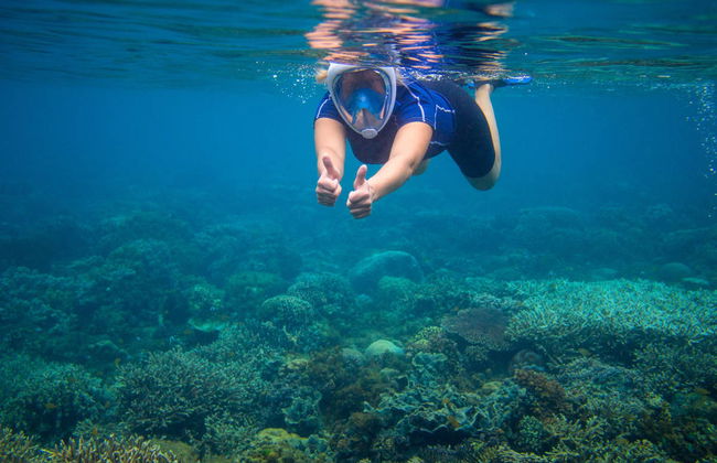 Snorkel en La Ametlla de Mar - Foto 3