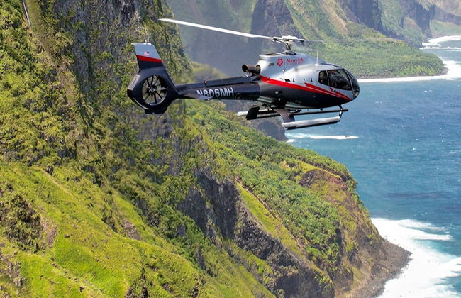 Hana Rainforest Helicopter Ride - Photo 7