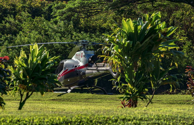 Hana Rainforest Helicopter Ride - Photo 6