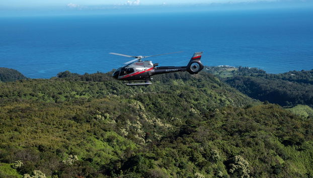 Hana Rainforest Helicopter Ride - Foto 2