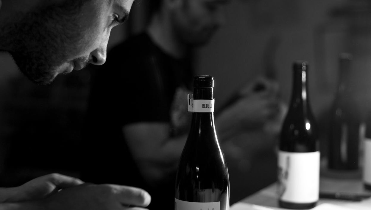 Cata de vinos de bodegas Bigardo - Foto 1