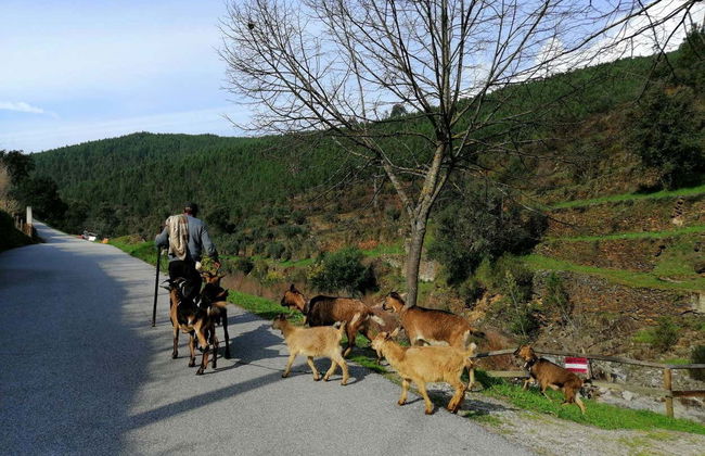 Escursione alla Serra da Estrela - Foto 5