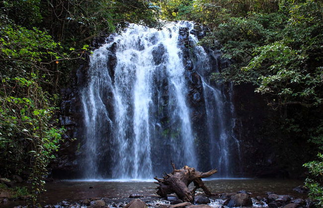 Atherton Tablelands Tour - Photo 1