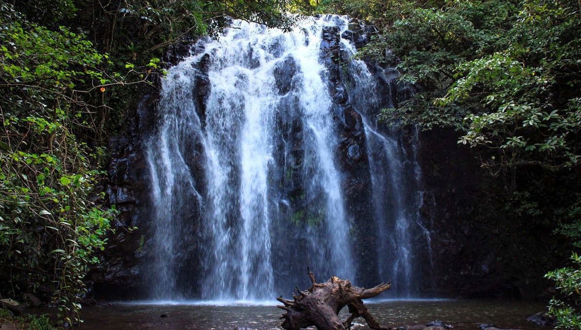 Atherton Tablelands Tour - Photo 1