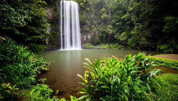 Atherton Tablelands Tour - Photo 2