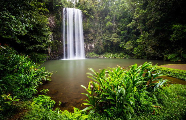 Atherton Tablelands Tour - Photo 2